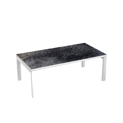 Table d'accueil 114 cm