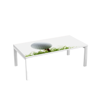 Table d'accueil 114 cm