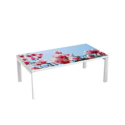 Table d'accueil 114 cm