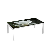 Table d'accueil 114 cm