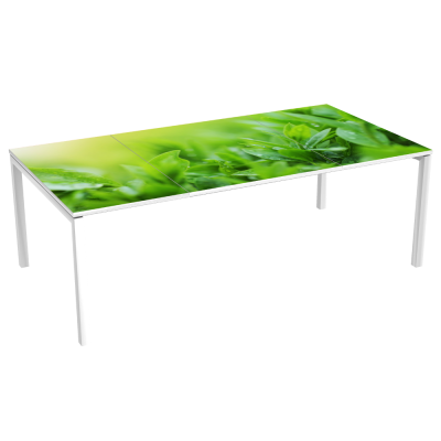 Table de Réunion 8 p