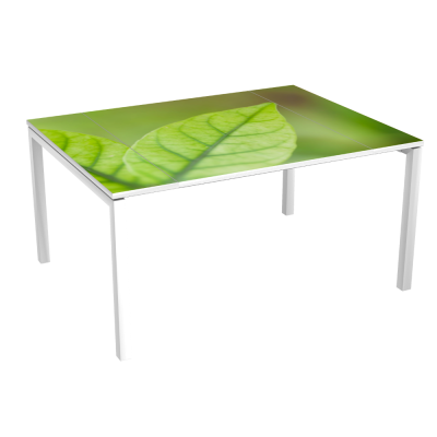 Table de Réunion 6 p