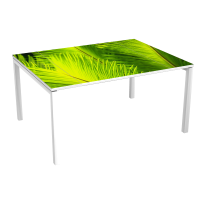 Table de Réunion 6 p