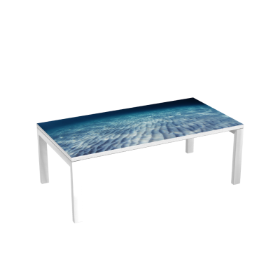 Table d'accueil 114 cm