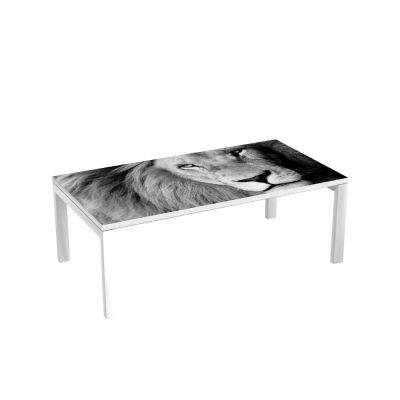 Table d'accueil 114 cm